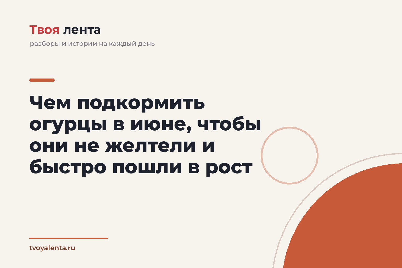 Чем подкормить огурцы в июне, чтобы они не желтели и быстро пошли в рост