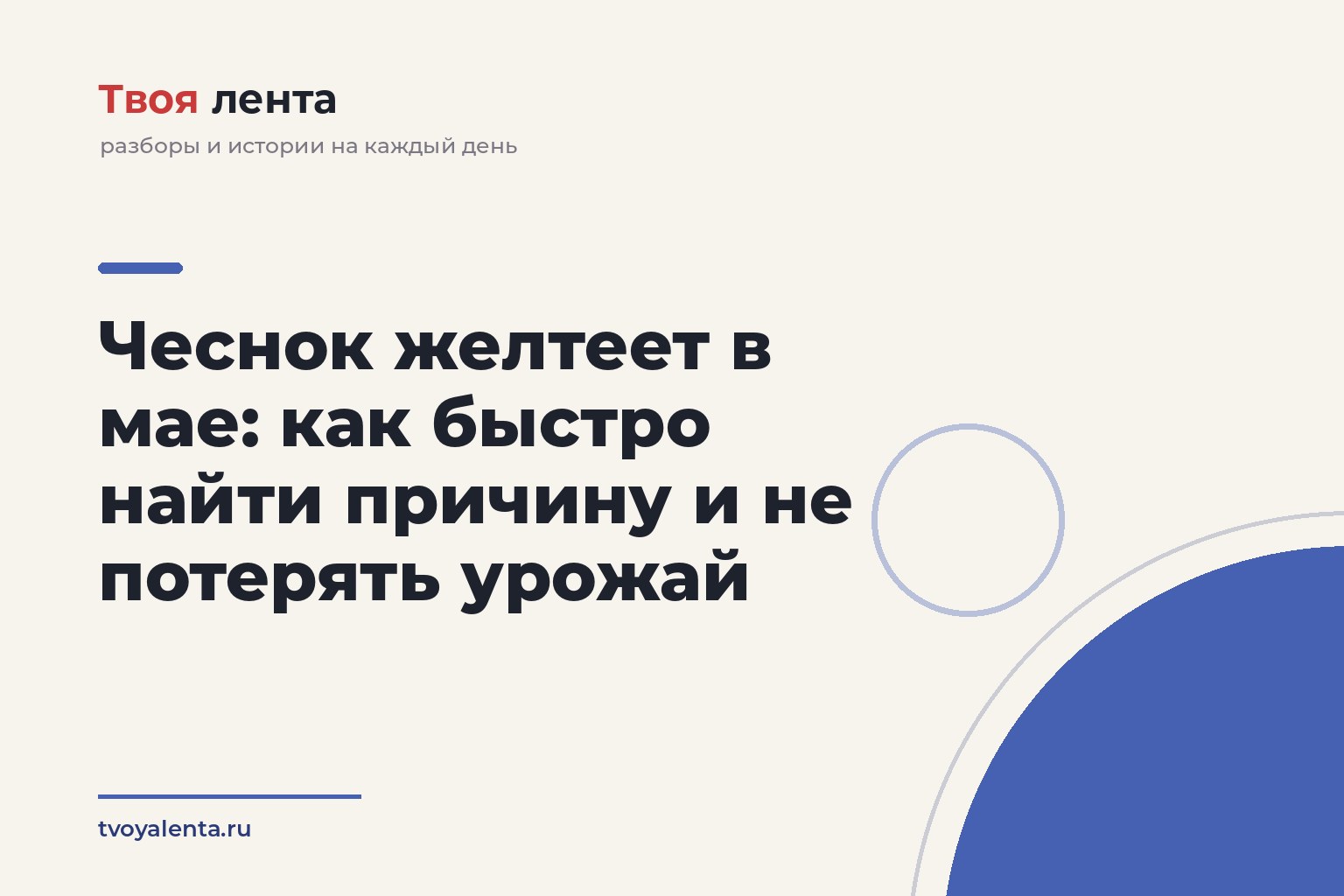 Чеснок желтеет в мае: как быстро найти причину и не потерять урожай
