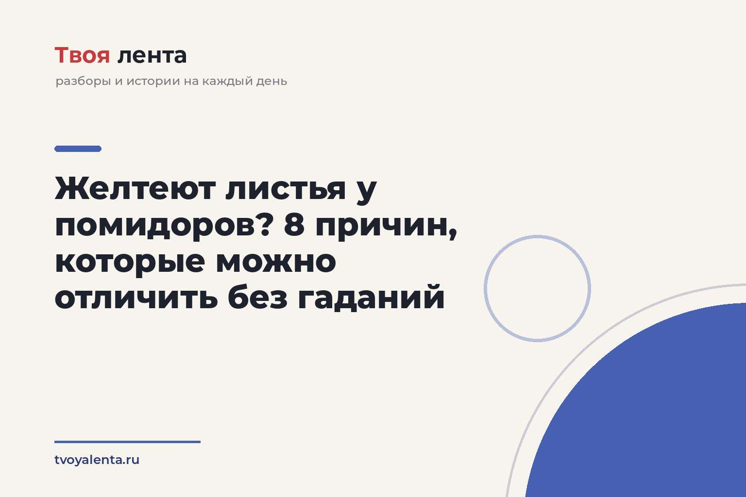 Желтеют листья у помидоров? 8 причин, которые можно отличить без гаданий