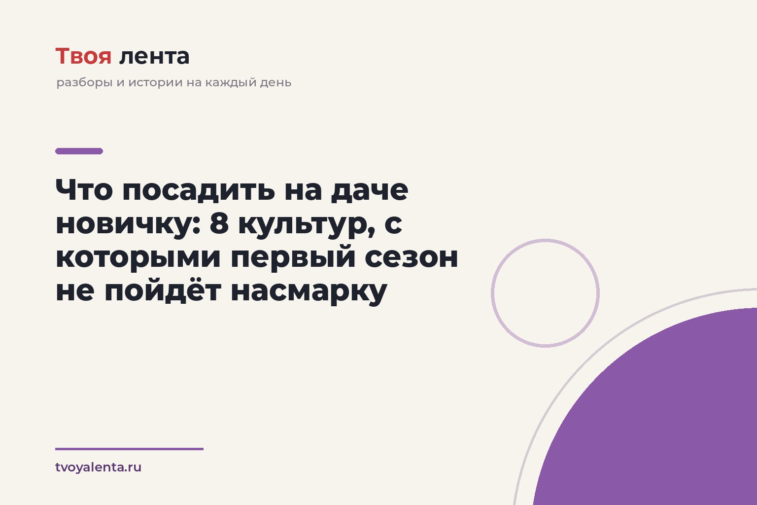 Что посадить на даче новичку: 8 культур, с которыми первый сезон не пойдёт насмарку