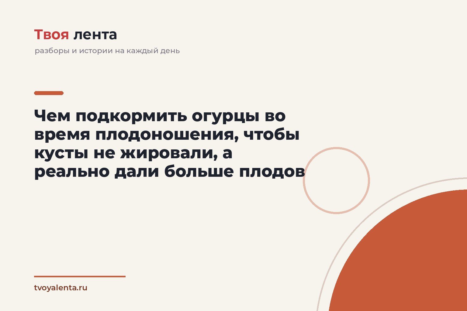 Чем подкормить огурцы во время плодоношения, чтобы кусты не жировали, а реально дали больше плодов