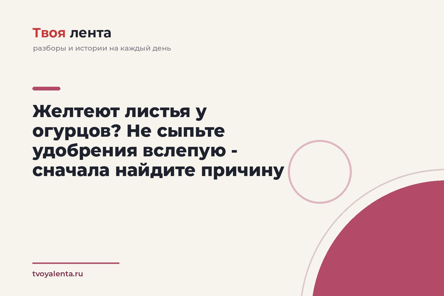 Желтеют листья у огурцов? Не сыпьте удобрения вслепую - сначала найдите причину