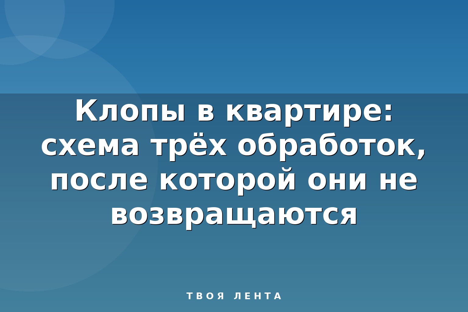 Клопы в квартире: схема трёх обработок, после которой они не возвращаются