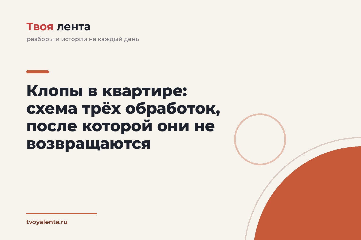 Клопы в квартире: схема трёх обработок, после которой они не возвращаются